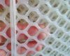 Plastic Mesh Poultry Netting
