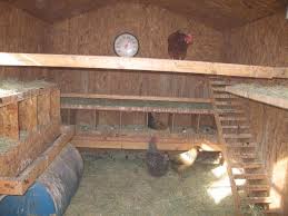 How So Setup Electric Poultry Netting In Winter