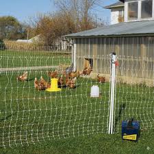 Review Electric Poultry Netting