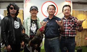 5 Pukulan Ayam Petarung Bangkok Paling Populer